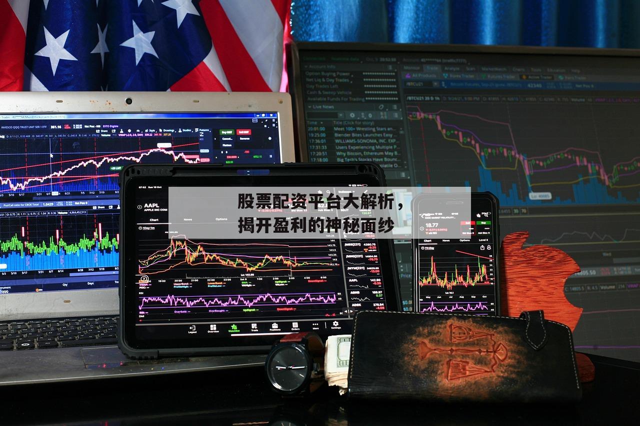 股票配资平台大解析，揭开盈利的神秘面纱