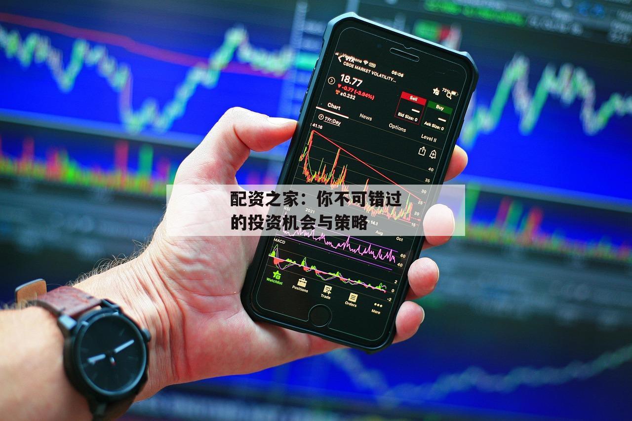配资之家：你不可错过的投资机会与策略